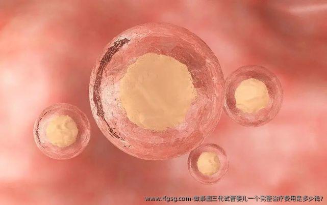 做泰國三代試管嬰兒一個(gè)完整治療費(fèi)用是多少錢?