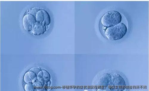 移植懷孕的癥狀表現(xiàn)有哪些？每位女性的體驗(yàn)有所不同