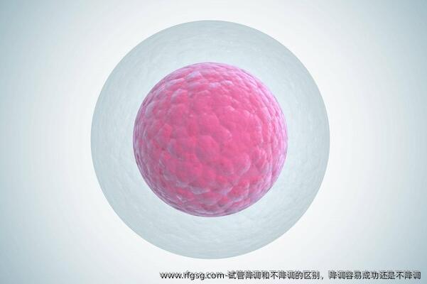 試管降調和不降調的區(qū)別，降調容易成功還是不降調