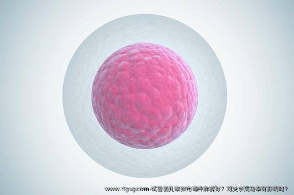 試管嬰兒取卵用哪種麻醉好？對受孕成功率有影響嗎？