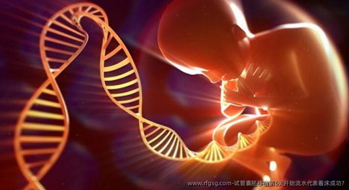 試管囊胚移植第5天開始流水代表著床成功?