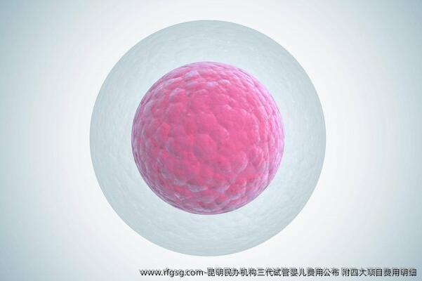 昆明民辦機(jī)構(gòu)三代試管嬰兒費(fèi)用公布 附四大項(xiàng)目費(fèi)用明細(xì)