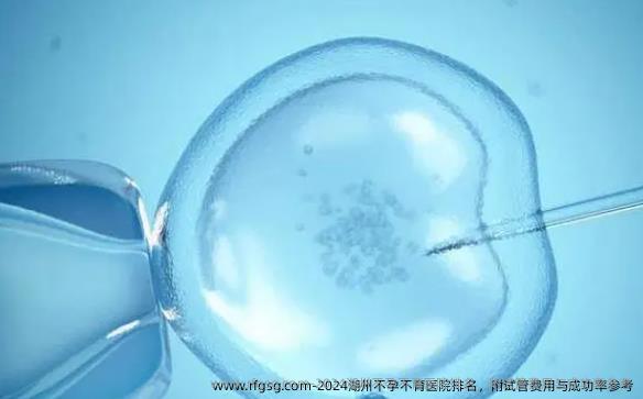 2024湖州不孕不育醫(yī)院排名，附試管費(fèi)用與成功率參考