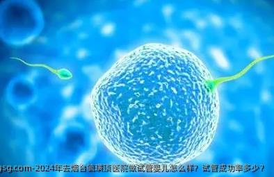 2024年去煙臺(tái)毓璜頂醫(yī)院做試管嬰兒怎么樣？試管成功率多少？