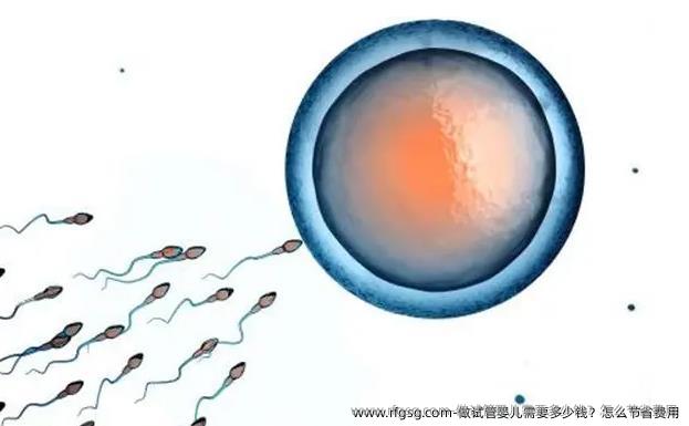 做試管嬰兒需要多少錢？怎么節(jié)省費用