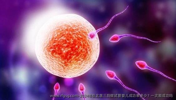 2024年在北醫(yī)三院做試管嬰兒成功率多少？一次能成功嗎