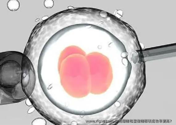 穿刺取精和顯微精哪項成功率更高？