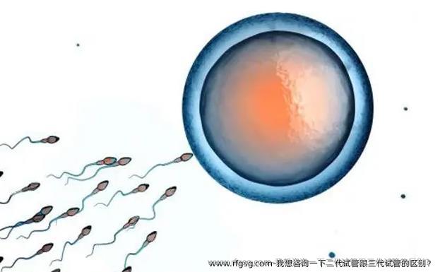 我想咨詢一下二代試管跟三代試管的區(qū)別？