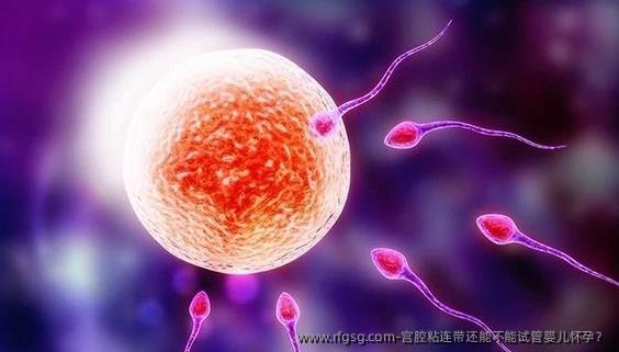 宮腔粘連帶還能不能試管嬰兒懷孕？