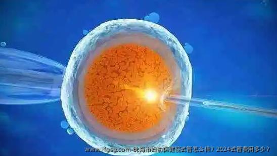 珠海市婦幼保健院試管怎么樣？2024年試管費(fèi)用多少？