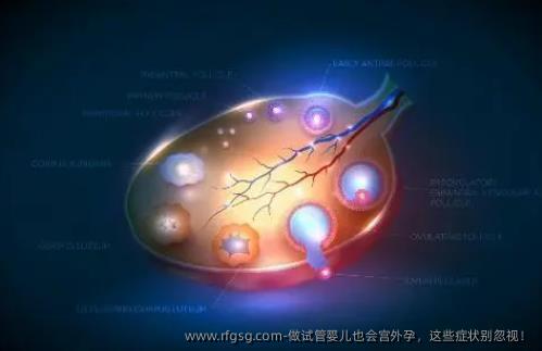 做試管嬰兒也會宮外孕，這些癥狀別忽視！