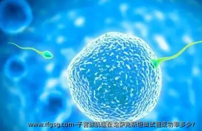 子宮腺肌癥在哈薩克斯坦做試管成功率多少？