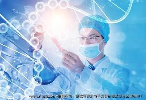 生育指南：做試管卵泡與子宮分別要達(dá)到什么指標(biāo)呢？