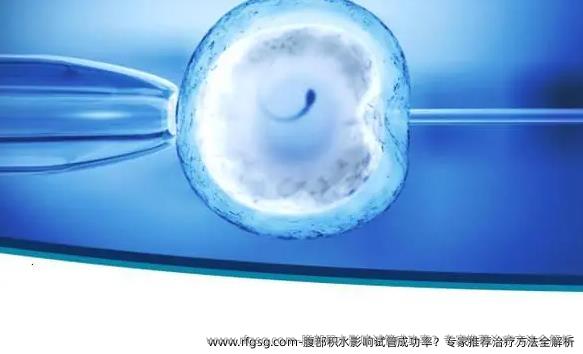 腹部積水影響試管成功率？專家推薦治療方法全解析