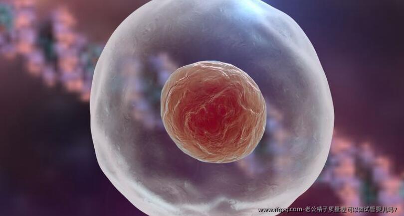 老公精子質(zhì)量差可以做試管嬰兒?jiǎn)幔?></p><p>試管嬰兒（In Vitro Fertilization, IVF）是一種輔助生殖技術(shù)，通過(guò)將卵子和精子在實(shí)驗(yàn)室中結(jié)合，形成胚胎后再將其移植到母體子宮內(nèi)，以實(shí)現(xiàn)懷孕。這項(xiàng)技術(shù)自1978年首次成功應(yīng)用以來(lái)，已經(jīng)幫助無(wú)數(shù)夫婦實(shí)現(xiàn)了生育夢(mèng)想。</p><h3 id=