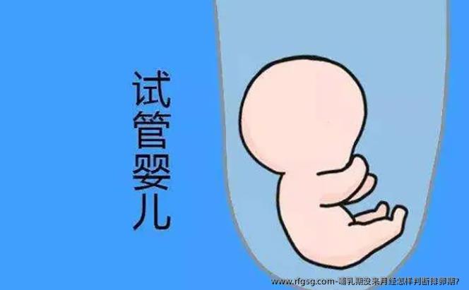 哺乳期沒(méi)來(lái)月經(jīng)怎樣判斷排卵期？