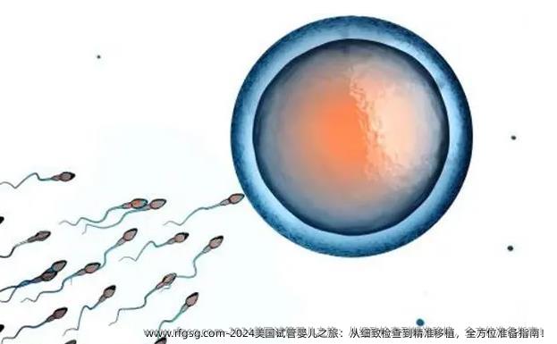 2024美國試管嬰兒之旅：從細(xì)致檢查到精準(zhǔn)移植，全方位準(zhǔn)備指南！