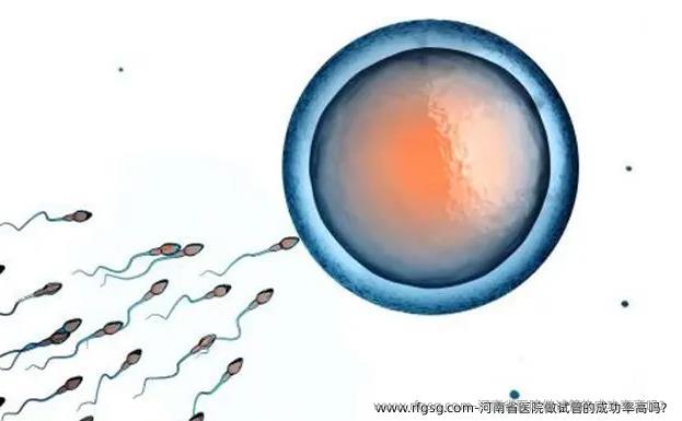 河南省醫(yī)院做試管的成功率高嗎？