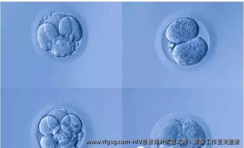 HIV患者海外試管之路：準(zhǔn)備工作至關(guān)重要