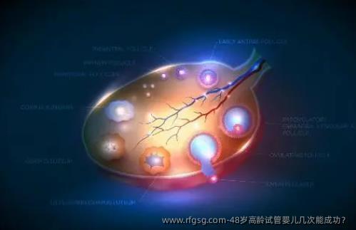 48歲高齡試管嬰兒幾次能成功？