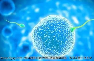 2024湘潭婦幼保健院試管費(fèi)用明細(xì)：各項(xiàng)花費(fèi)一覽無(wú)余