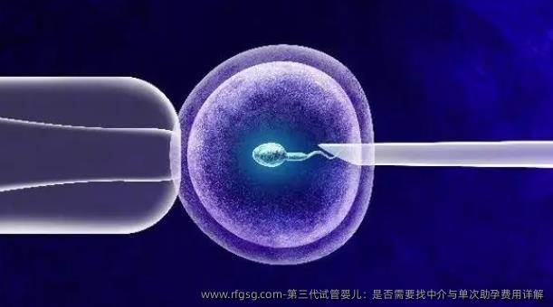 第三代試管嬰兒：是否需要找機(jī)構(gòu)與單次助孕費(fèi)用詳解