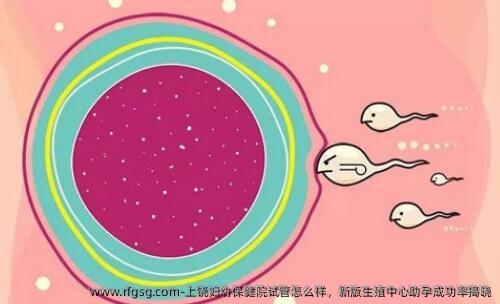 上饒婦幼保健院試管怎么樣，新版生殖中心助孕成功率揭曉