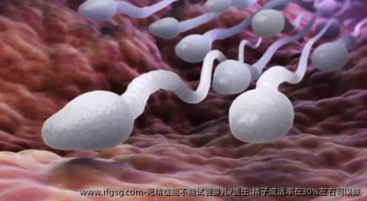 死精癥能不能試管嬰兒?醫(yī)生:精子成活率在30%左右可以做