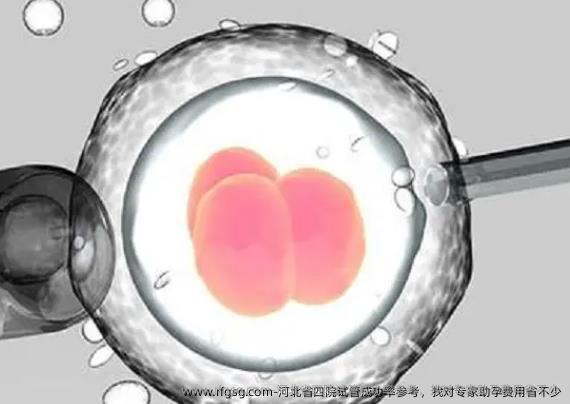 河北省四院試管成功率參考，找對專家助孕費用省不少