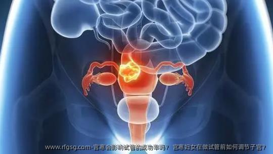 宮寒會(huì)影響試管的成功率嗎？ 宮寒?huà)D女在做試管前如何調(diào)節(jié)子宮？