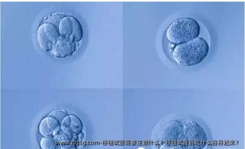 移植試管需要注意什么？移植試管后吃什么容易起床？